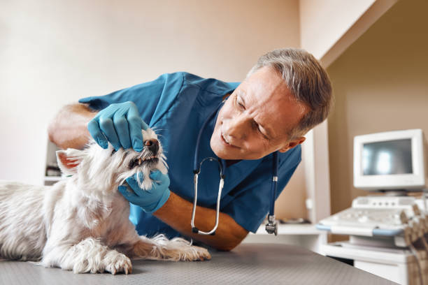 Best Emergency Denture Repair in Wilburton, OK