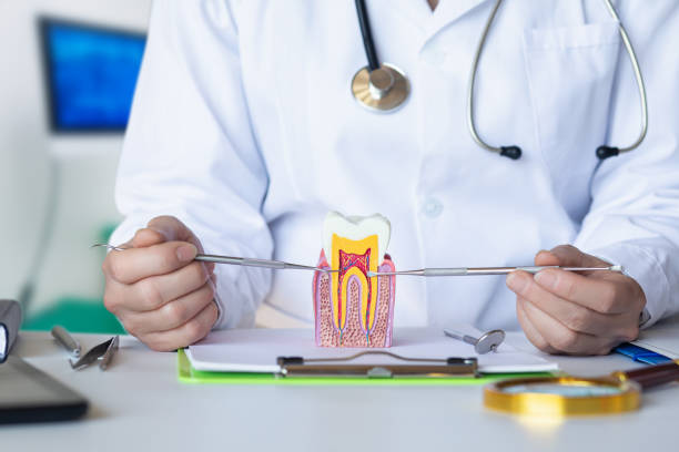 Best Emergency Root Canal Treatment in Wilburton, OK